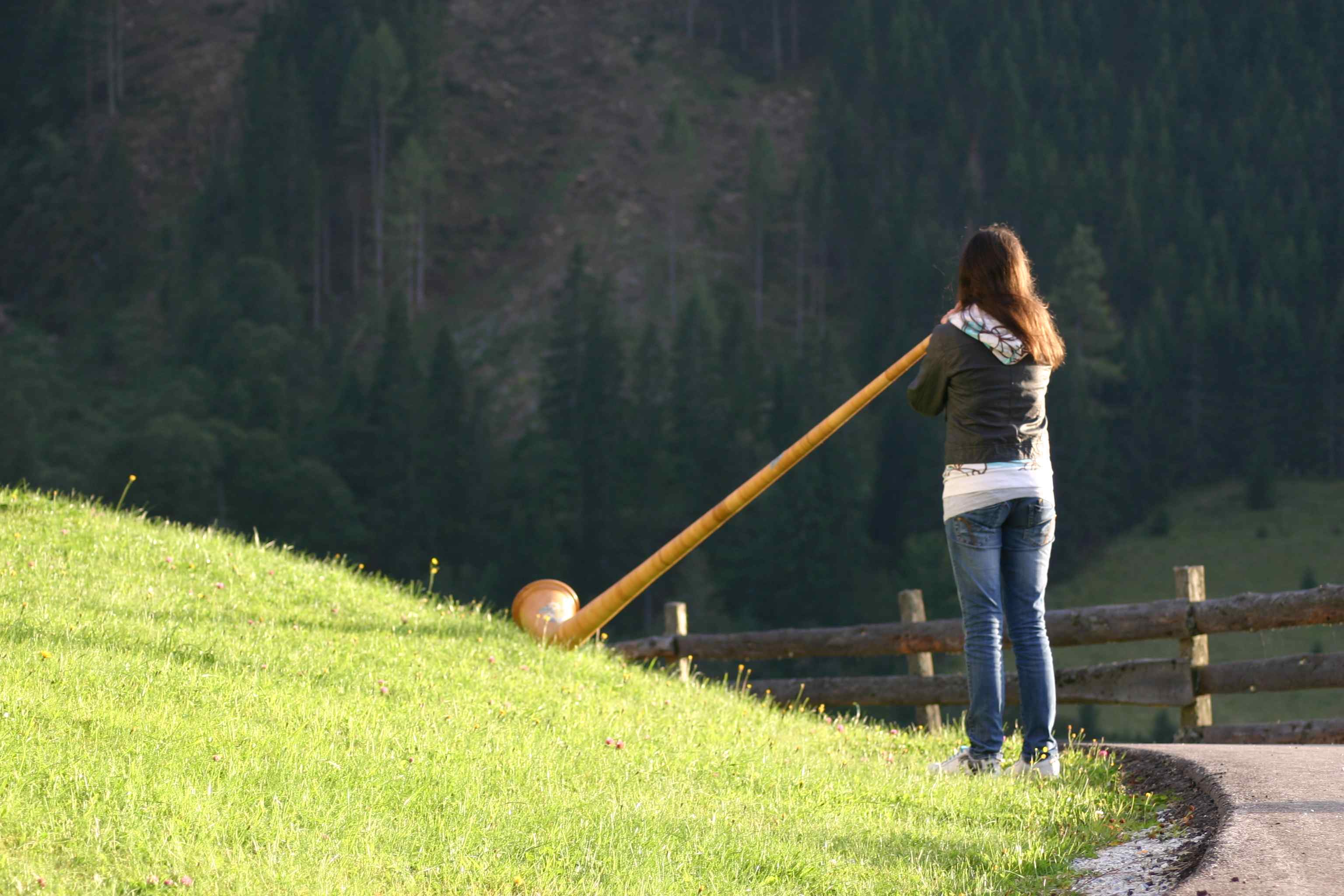 Alphorn