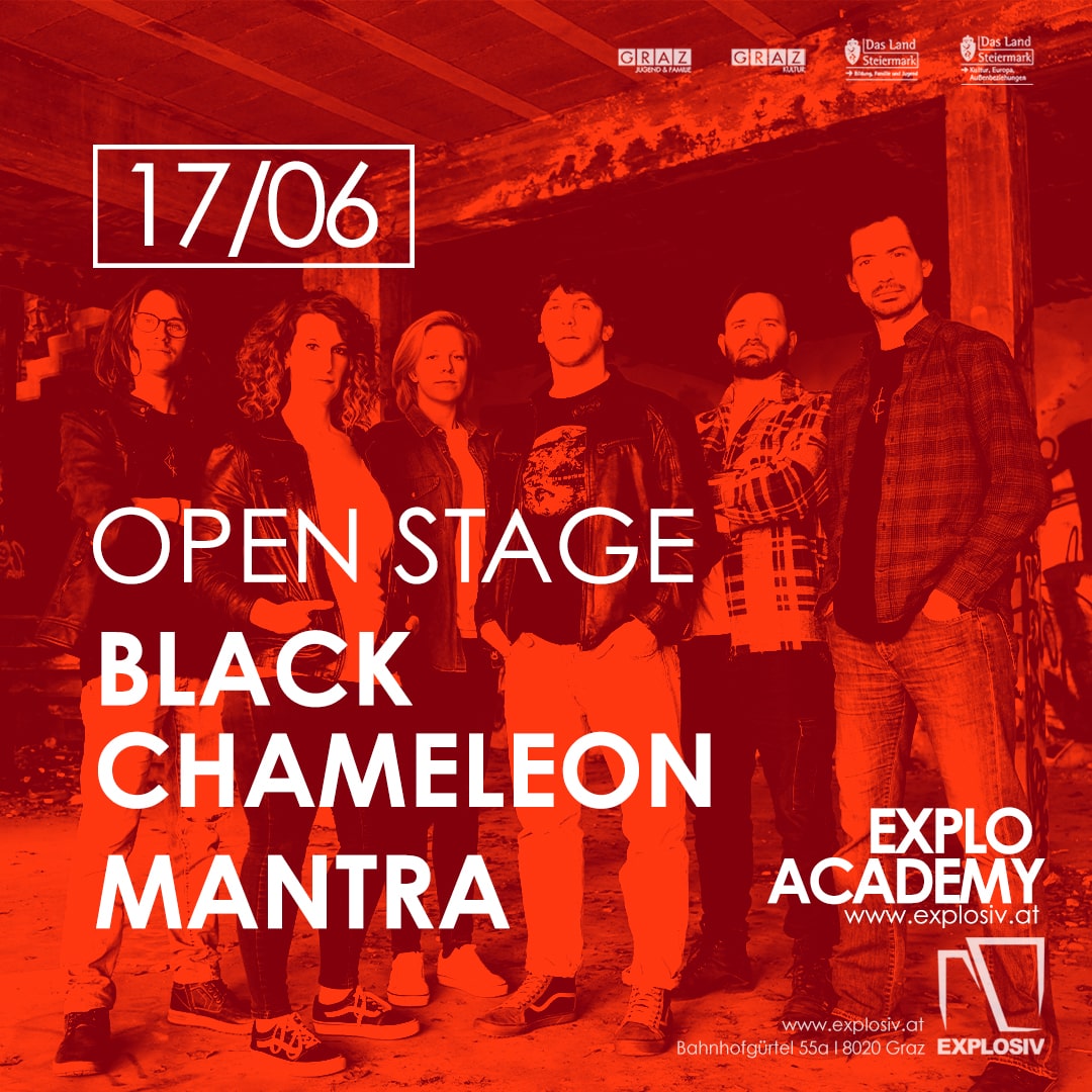 Sujet Black Cameleon Konzert