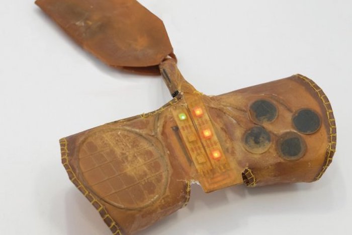 Biohybrid Device - Madalina Nicolae, Vivien Roussel, Marc Teyssier