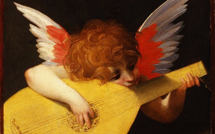 Lautenspielender Putto von Rosso Fiorentino