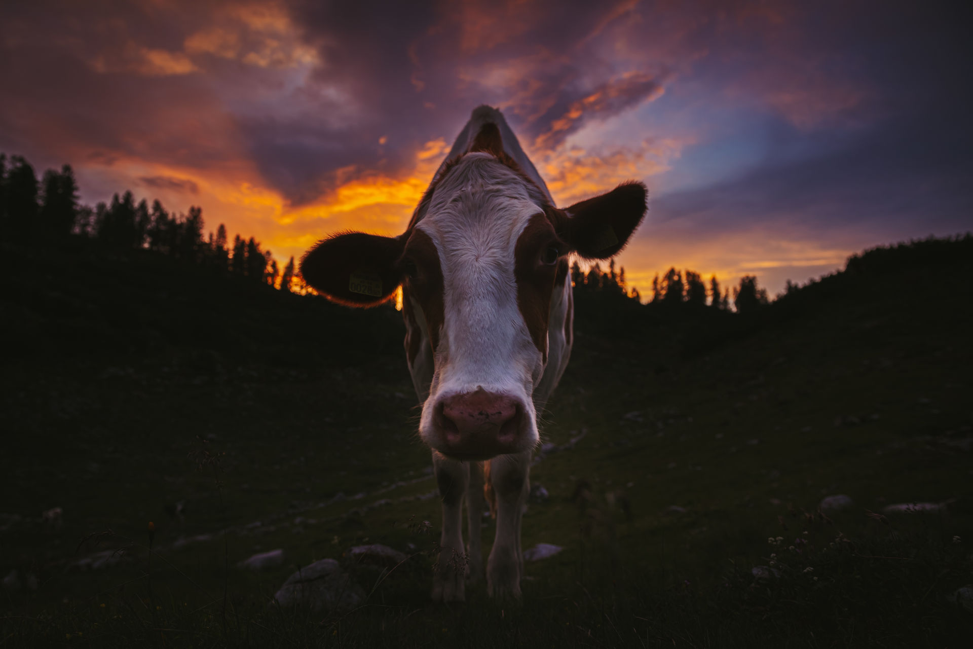 Fotocredit: Christoph Huber Gestern hots grengt - Ein bebildertes Hörspiel von Christoph Huber