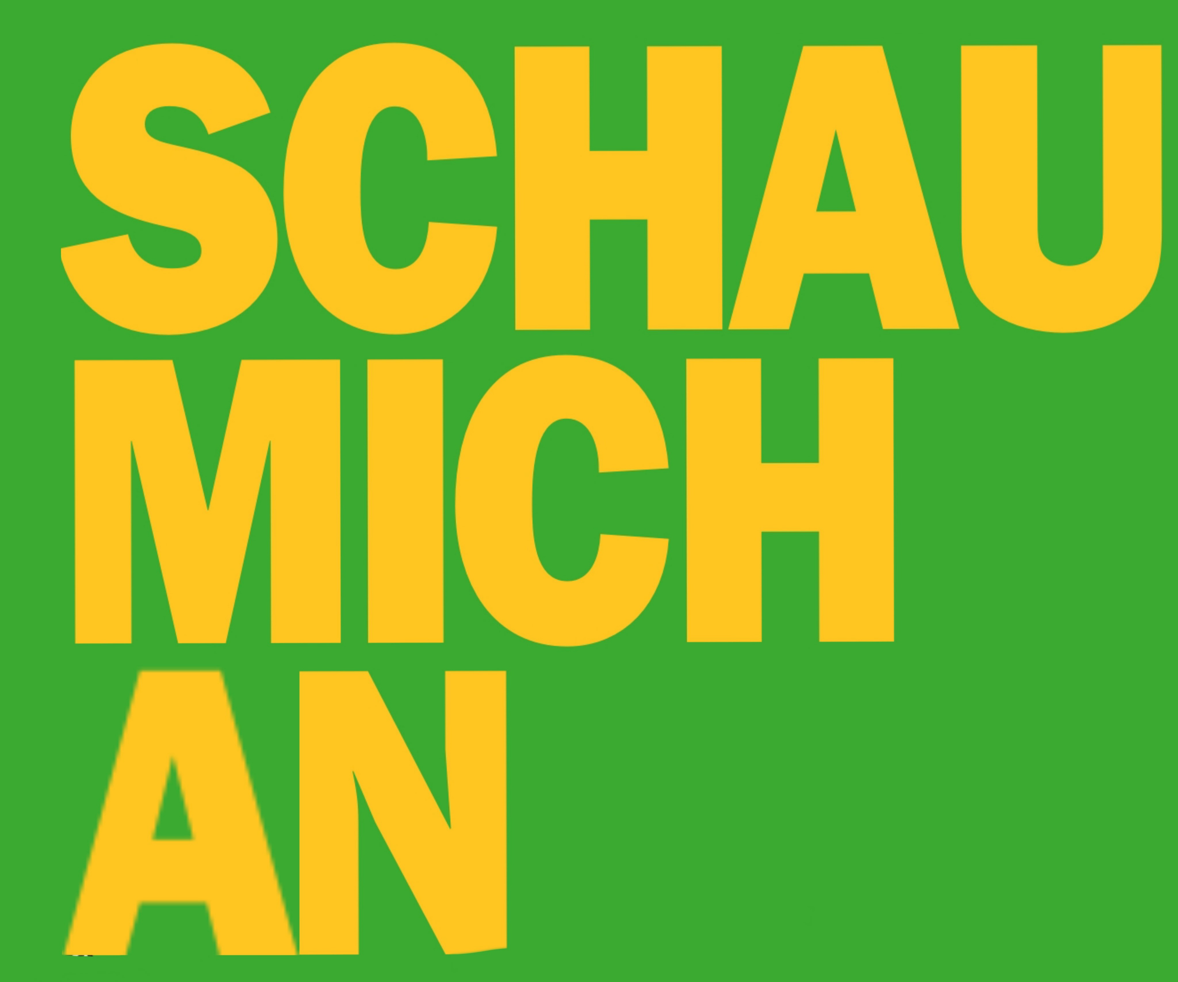 Momentaufnahmen einer Stadt. Netzwerkprojekt „Das grüne Band".