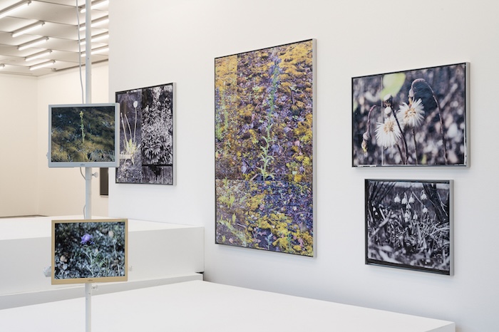Ausstellungsansicht Susanne Kriemann