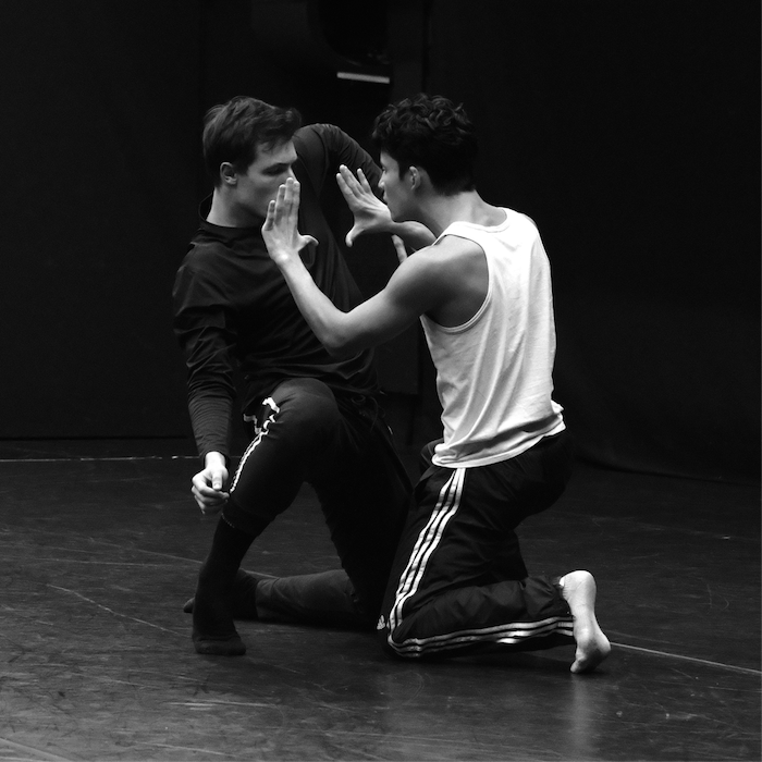 Ballett Inside
