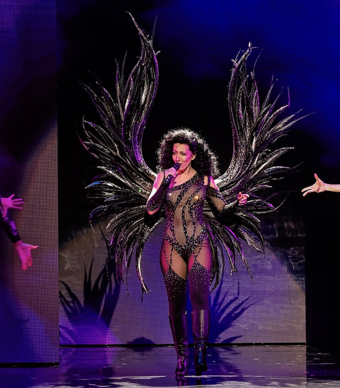 Cher Show