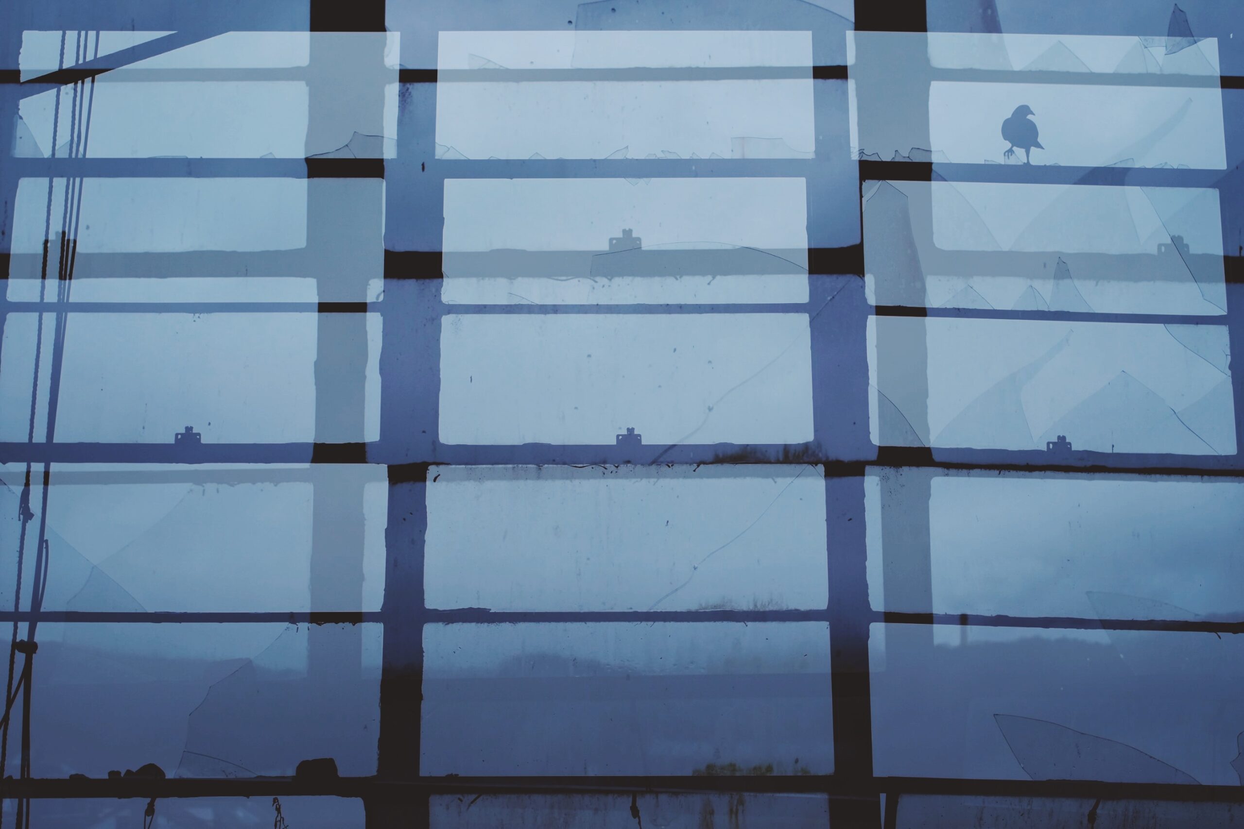 Screening of documentary ‘an observance of absence’ by Jason Pappariella