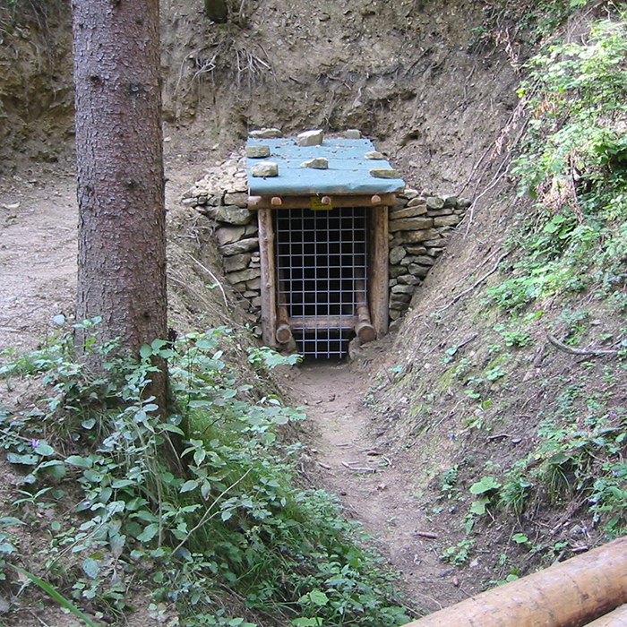 Fotocredit: Stift Rein