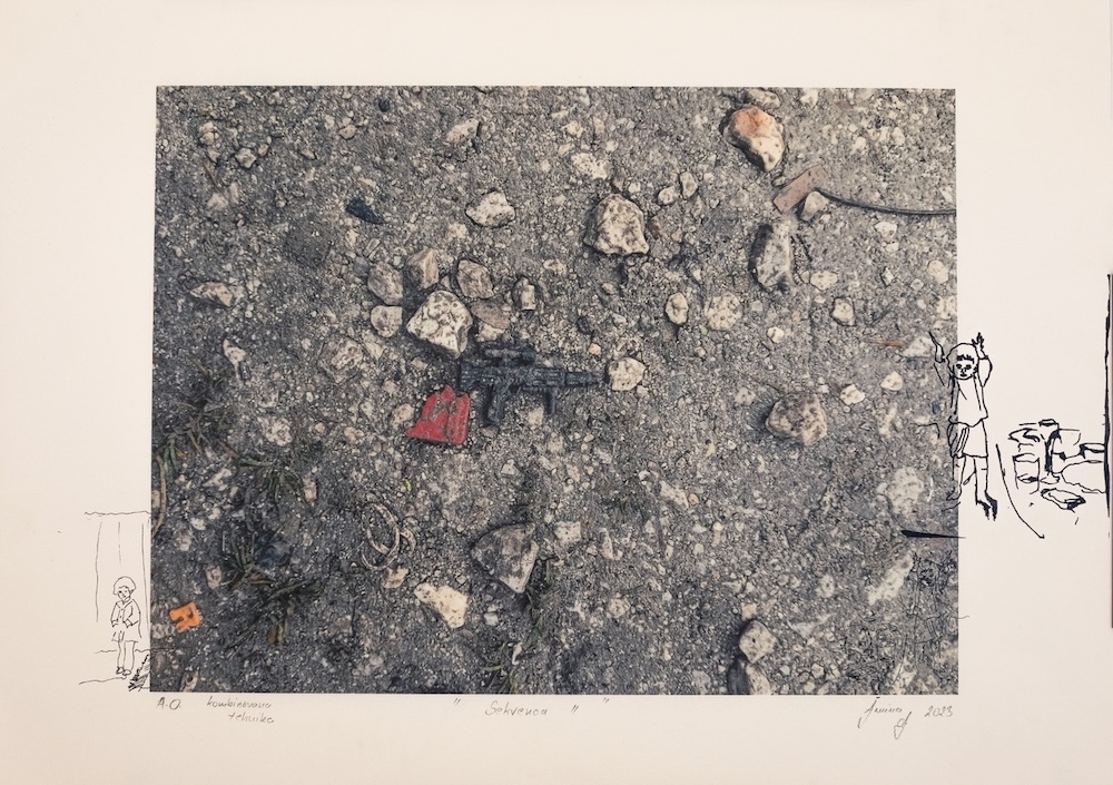 Unknown (c) Amina Ahmetagic (2)