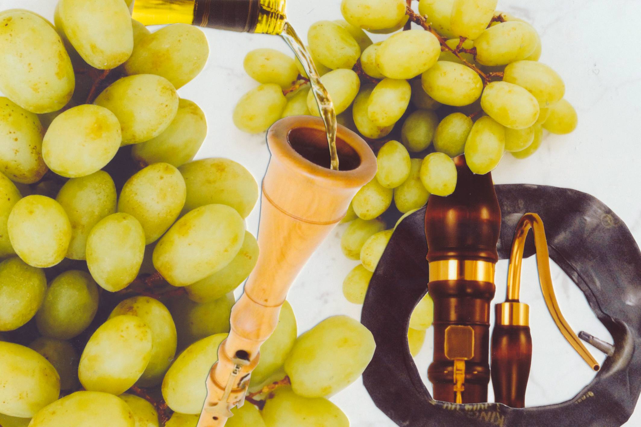 Fotocredit: Mathias Schalk Oboe, Fagott, Schläuche, Wein und Trauben