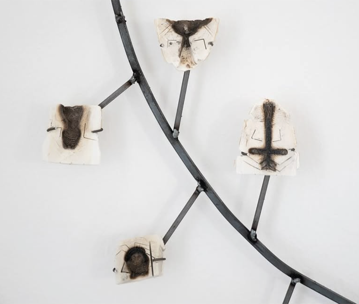 Arbeitstitel Ossa Sepia | Galerie Transit