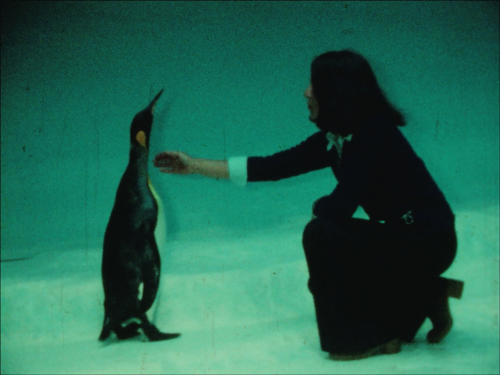 Winter Blumen Garten Sara Piñeros Cortés AT 2026, 28 min