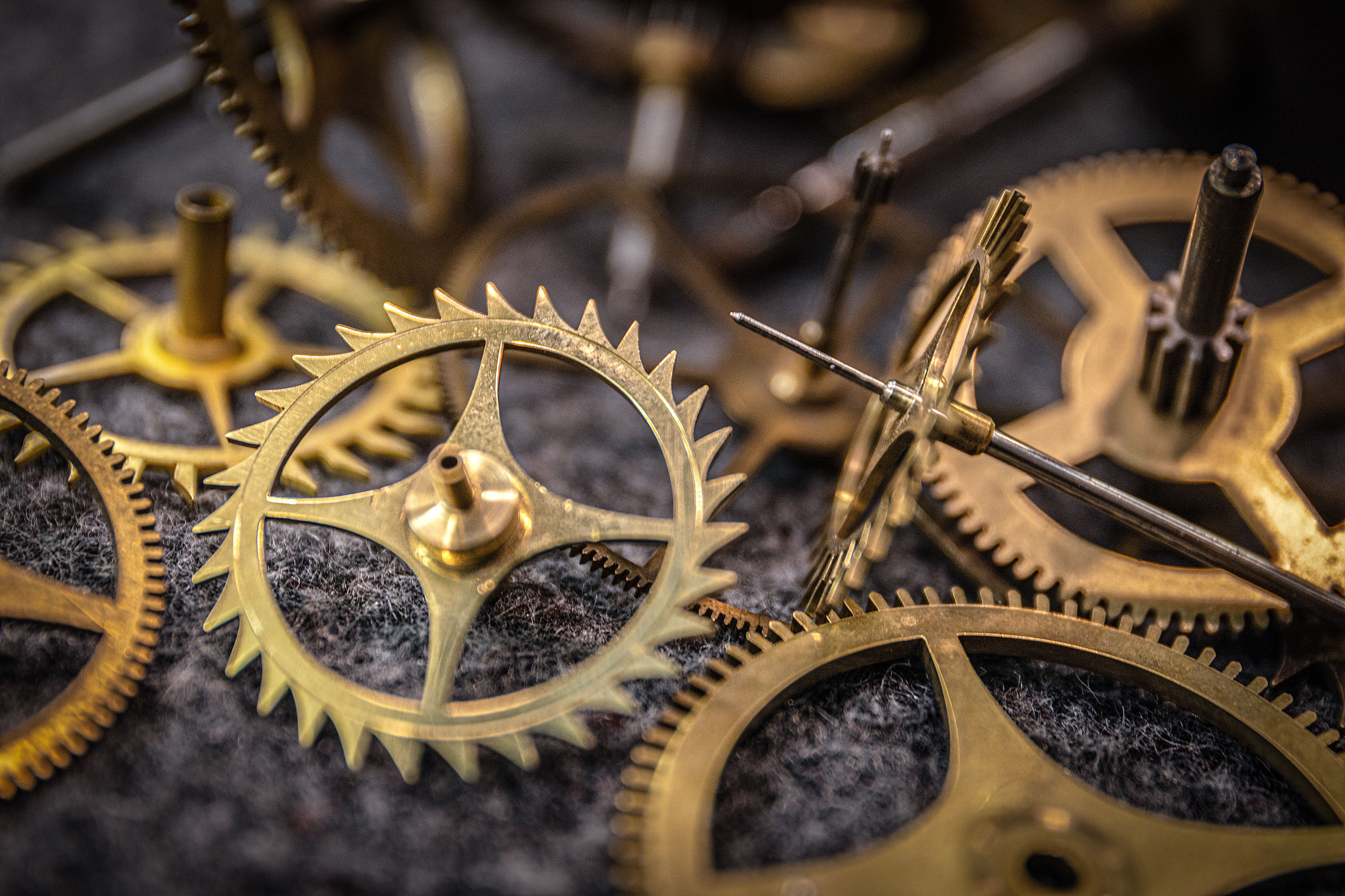 Nur ein Augenblick_D26_01 И Burger, courtesy of sixpackfilm