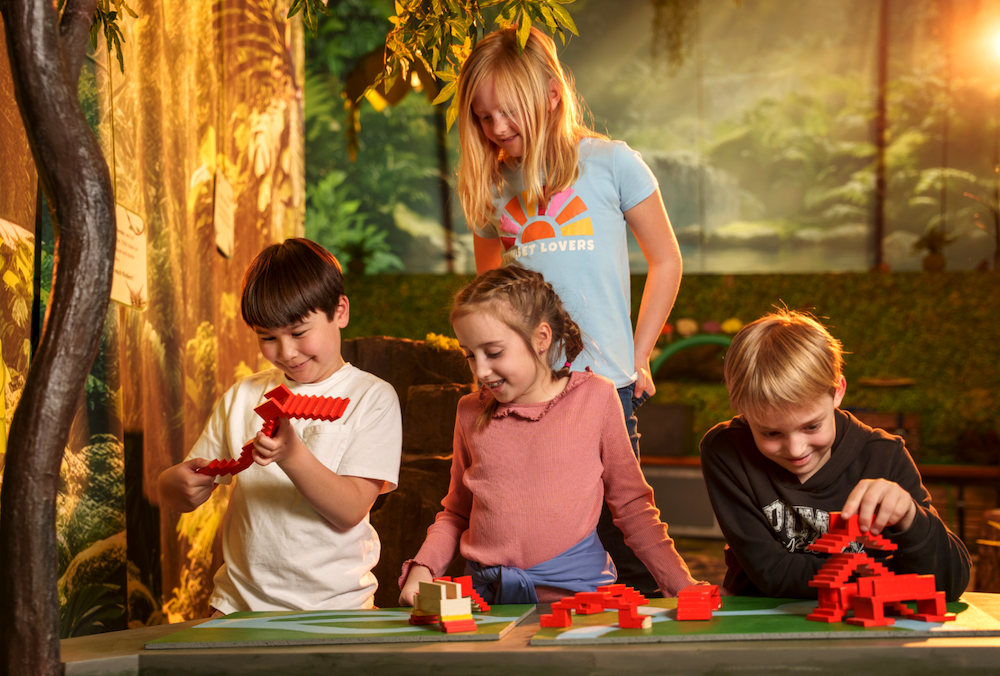 Mathe-Dschungel_05©FRidafreD-Hannes-Loske.