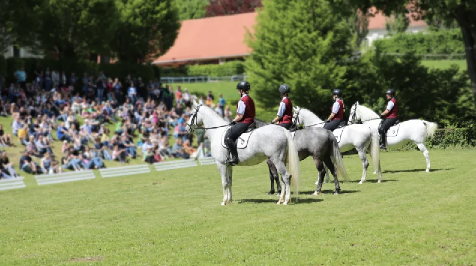 Führlingsfest