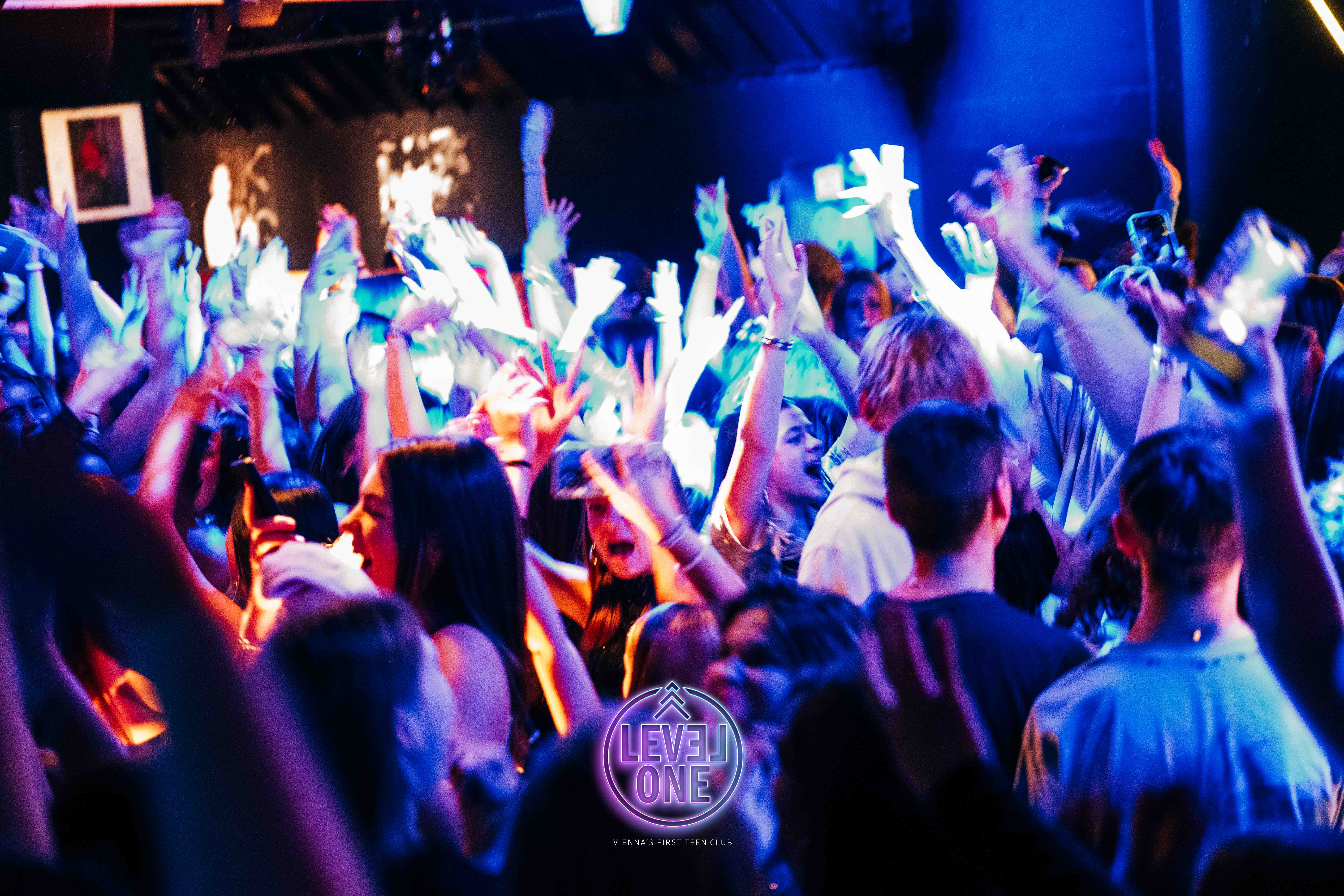 Level One Party Vibes