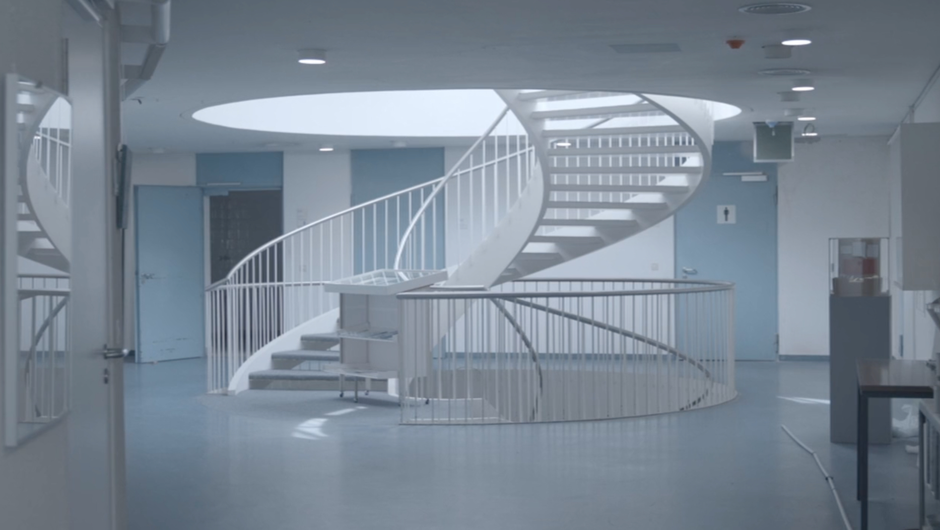 Still aus DIE VIDEOKONFERENZ DER TIERE, REVISITED. (2024)