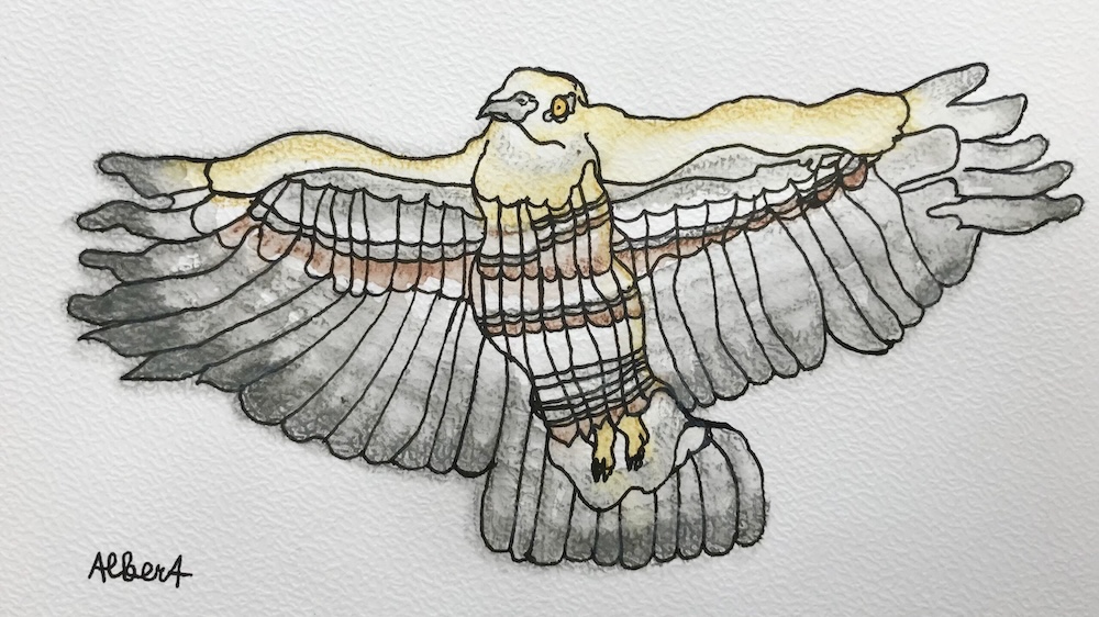 Bussard