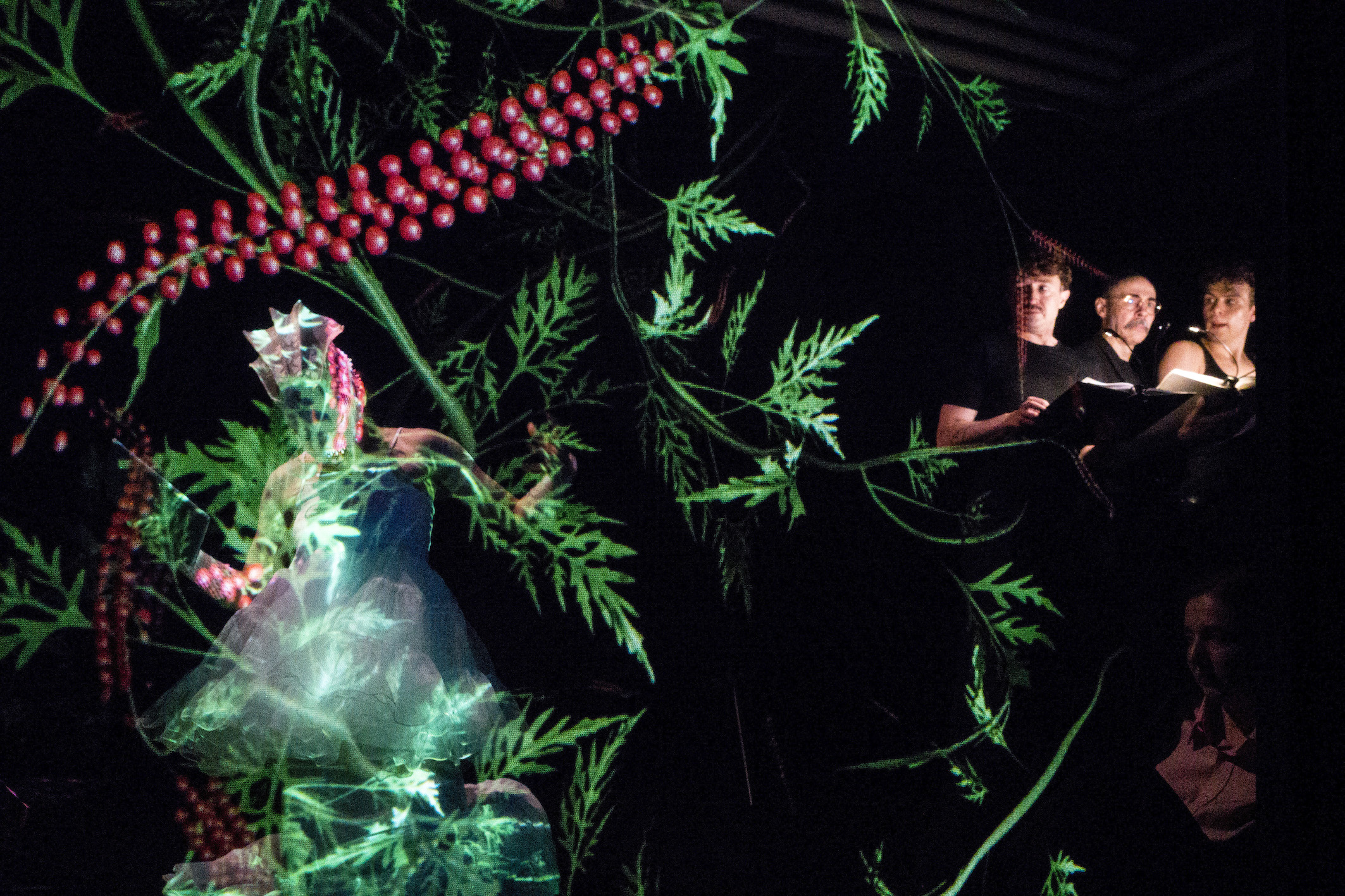 RAG(E)WEED | Kunsthaus Graz