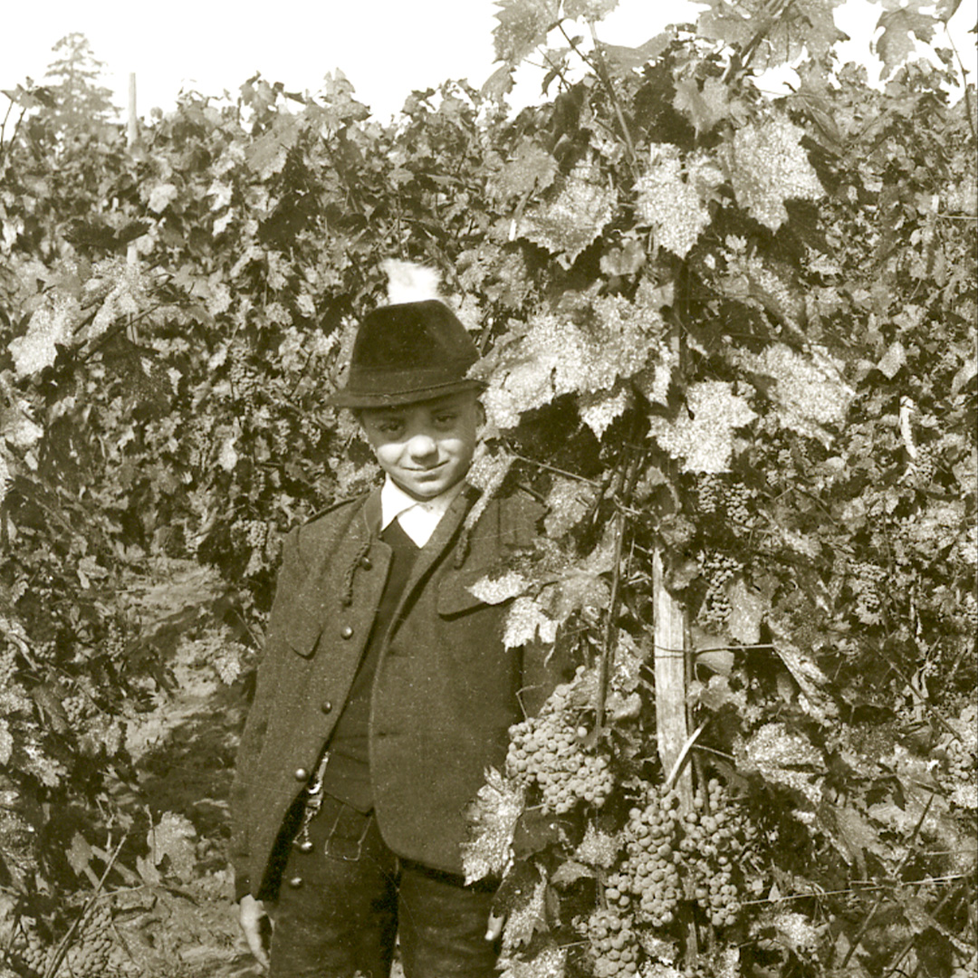 Historische Schwarz-Weiß-Fotografie einer Person mit Hut und Jacke, die lächelnd in einem Weinberg steht. Im Vordergrund hängen dichte Weintrauben an den Reben, während im Hintergrund weitere Weinstöcke zu sehen sind.