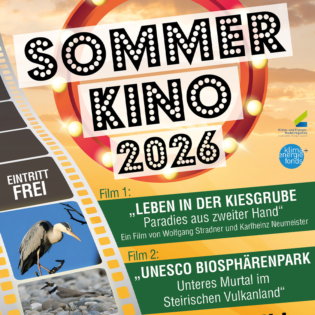 Ein farbenfrohes Veranstaltungsplakat für das „Sommer Kino 2026“ mit dem Hinweis „Eintritt frei“. Auf der rechten Seite sind zwei Filme angekündigt: Film 1 heißt „Leben in der Kiesgrube – Paradies aus zweiter Hand“ von Wolfgang Stradner und Karlheinz Neumeister. Film 2 trägt den Titel „UNESCO Biosphärenpark – Unteres Murtal im Steirischen Vulkanland“. Links verläuft ein Filmstreifen mit zwei Vogelbildern, und oben rechts sind die Logos von „Klima- und Energie-Modellregionen“ sowie „klima+energie fonds“ zu sehen.