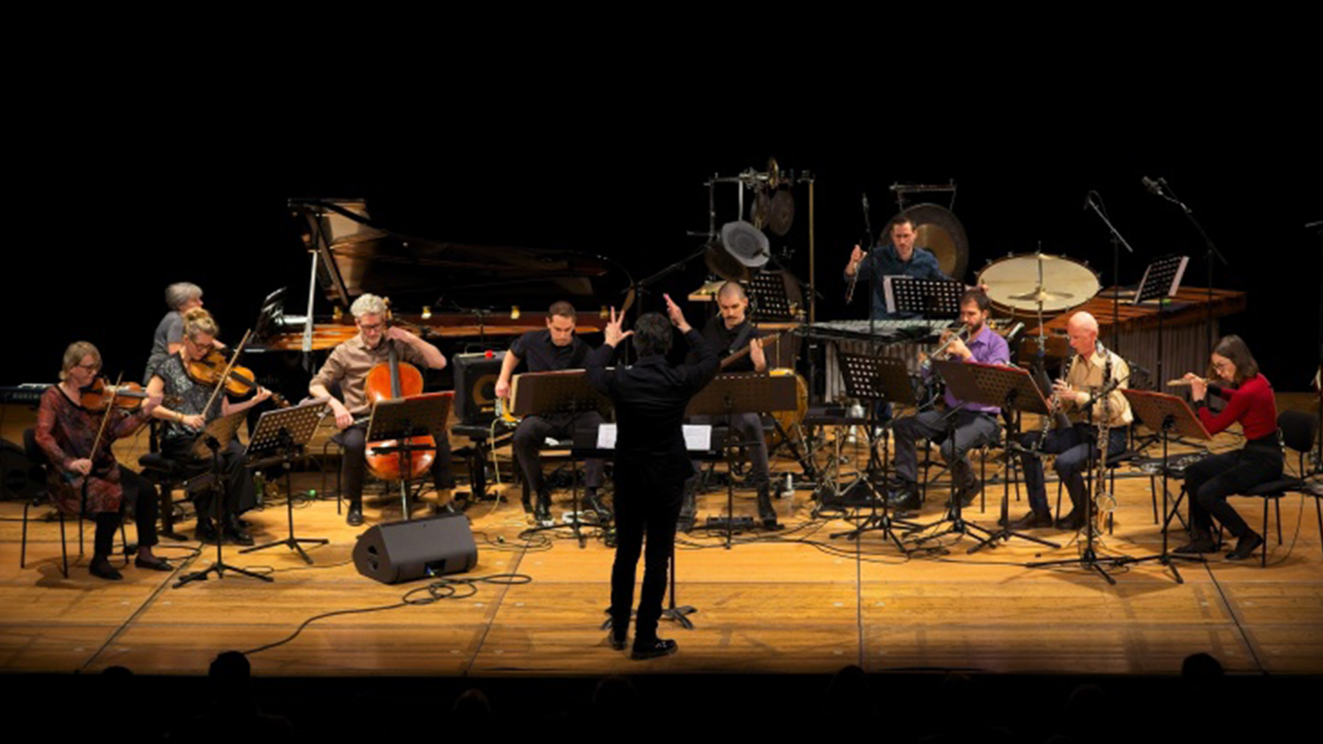 musikprotokoll phace